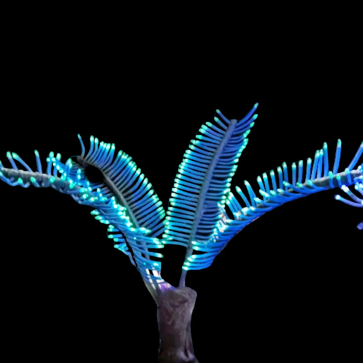 mini glowing palm tree for night tour and landscape projects — Avatar LED Plant series by Dengqi Lighting